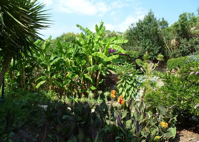 Sultan Ortaca (Mugla)