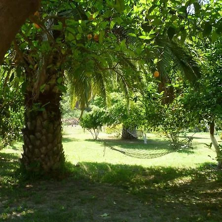 Sultan 3*