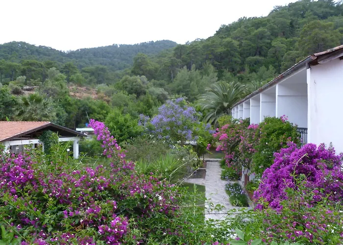 Sultan Отель 3*